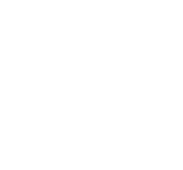 iconic core logo