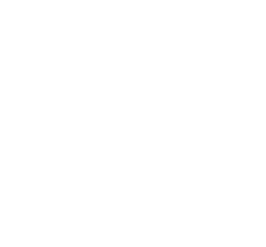 iconic core logo